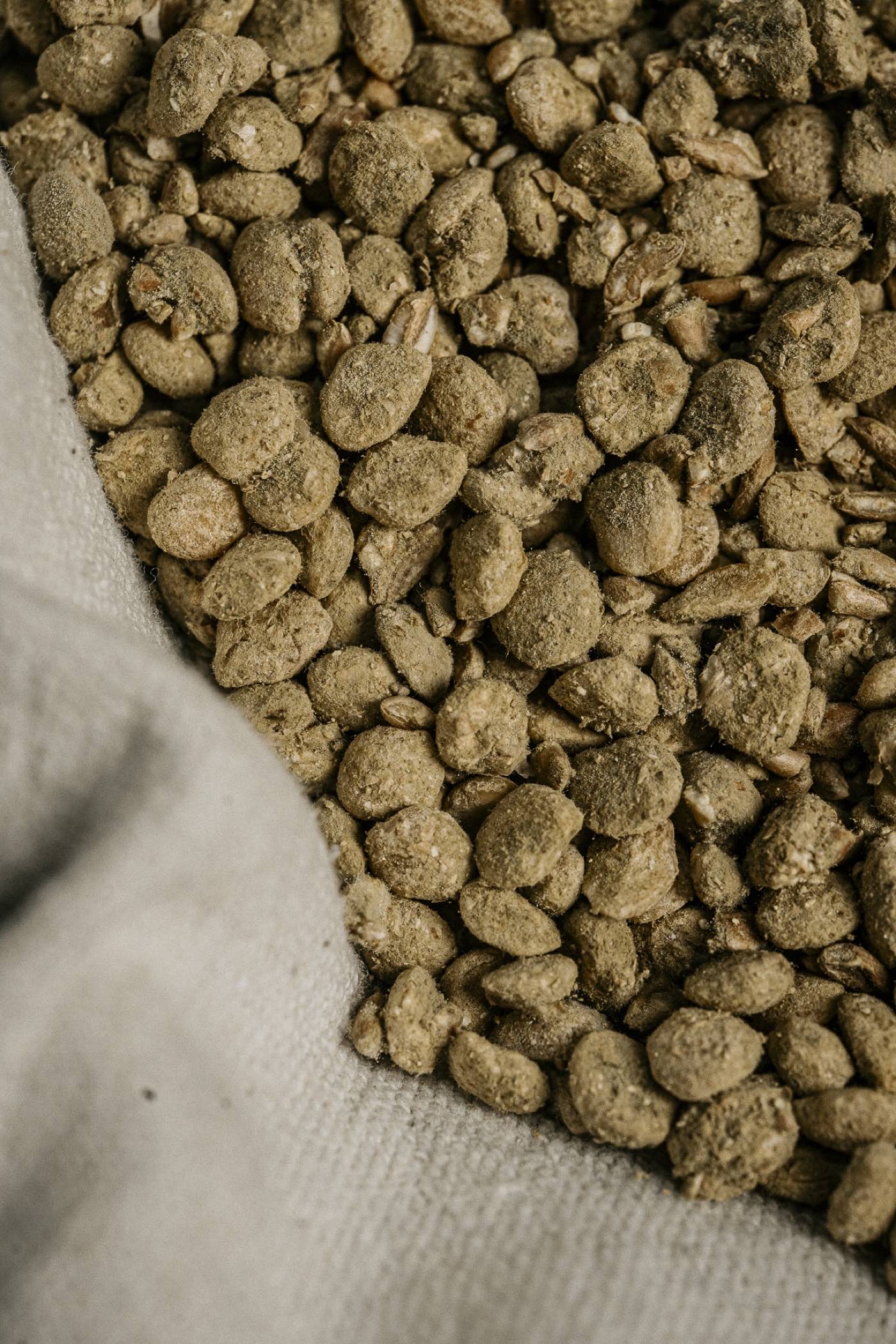 Getrocknete Ferment-Pellets auf grobem Leinentuch